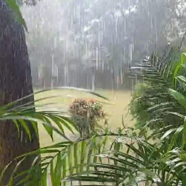 बिलासपुर में गरज-चमक के साथ हो सकती है बारिश:सोमवार को दिनभर छा रहे बादल और शाम को बरसात, 29 डिग्री पहुंचा तापमान