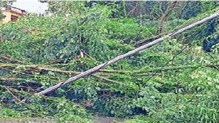 ग्‍वालियर में लड़खड़ाई बिजली व्यवस्था, घंटों गुल रही, अफसरों के नहीं उठे फोन