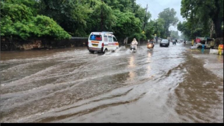 Rain in Gwalior: हो सकती है अगले 24 घंटे में हल्की से मध्यम बारिश