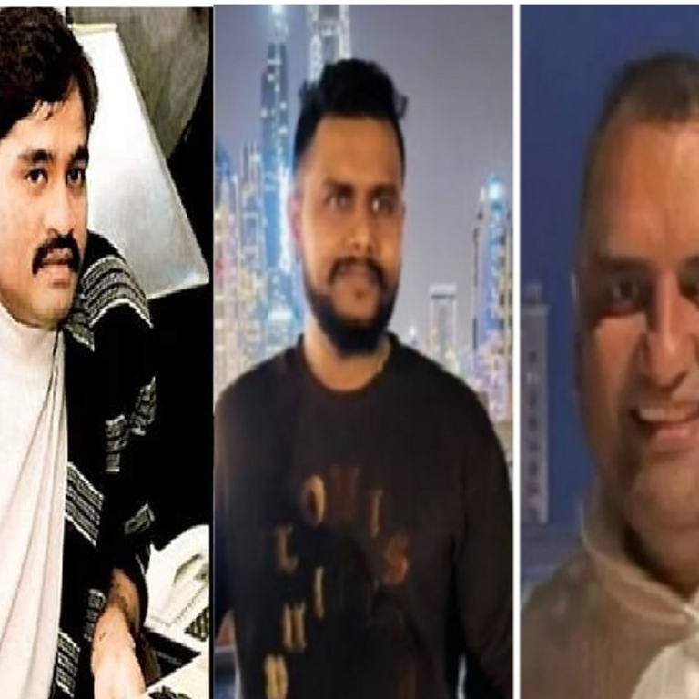 महादेव सट्‌टा केस… सुनवाई में दाऊद इब्राहिम की एंट्री:छत्तीसगढ़ हाईकोर्ट में प्रमोटर के वकील बोले-ED ने गलत जानकारी दी; वारंट रद्द करें