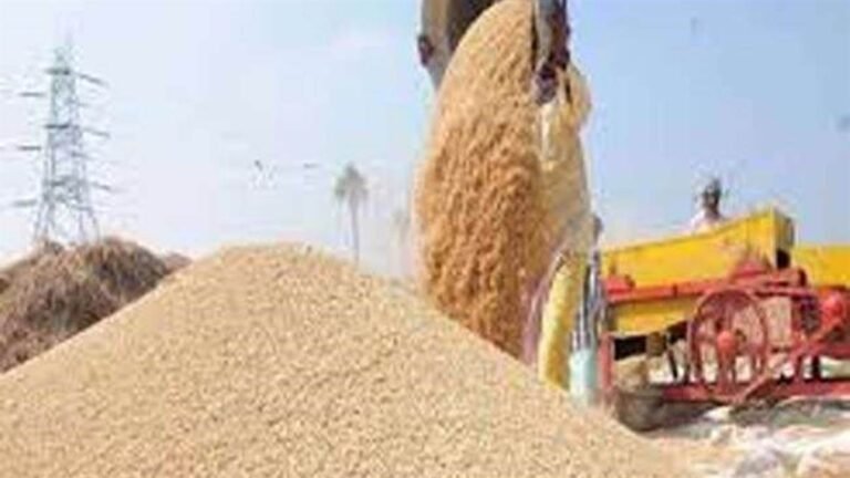 धान खरीदी से पहले मंत्री की सख्‍त हिदायत, भंडारण सामग्री की गुणवत्ता, वजन में लापरवाही हुई तो अधिकारी होंगे जिम्मेदार