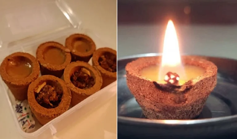 Diwali 2024: दिवाली पर जलाएं गाय के गोबर से बने हुए दीये, घर में आएगी सुख-समृद्धि