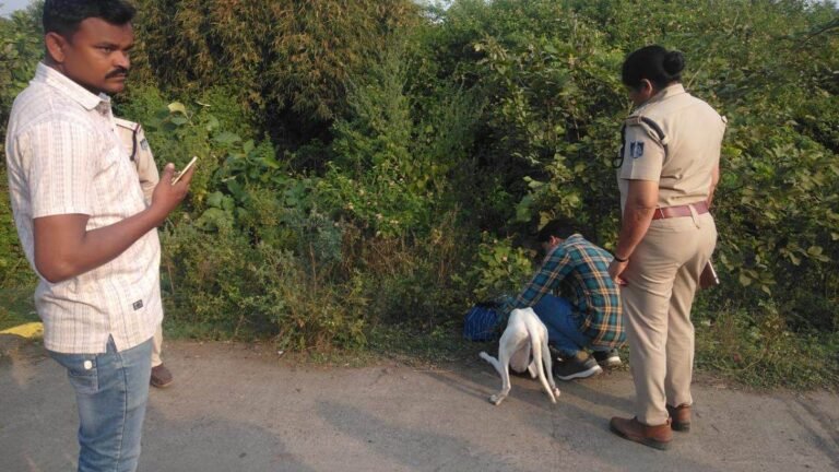 Robbery in Burhanpur: पति-पत्नी को पीटकर गहने छीने, छह घरों से बाइक भी ले गए नकाबपोश डकैत