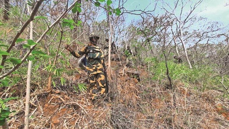 Naxal Encounter: बीजापुर में नक्‍सलियों के खिलाफ पुलिस का बड़ा अभियान, मुठभेड़ जारी, रुक-रुक कर हो रही फायरिंग
