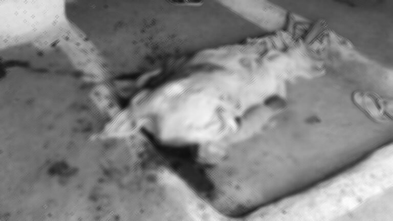 सागर में सनसनीखेज वारदात… बुजुर्ग ने पत्नी की गर्दन काटकर की हत्या, धड़ घर में तो सिर छह सौ मीटर दूर पेड़ पर मिला