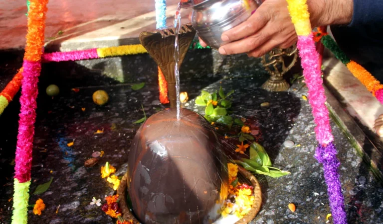 Margashirsha Amavasya 2024: कब है मार्गशीर्ष अमावस्या? इस दिन शिवलिंग पर जरुर अर्पित करें ये चीजें, घर में बनीं रहती है सुख-शांति