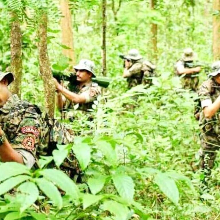 छत्तीसगढ़ के सुकमा में मुठभेड़ में 10 नक्सली मारे गए:सभी शव और 3 ऑटोमैटिक हथियार बरामद; जनवरी से अब तक 207 नक्सली ढेर