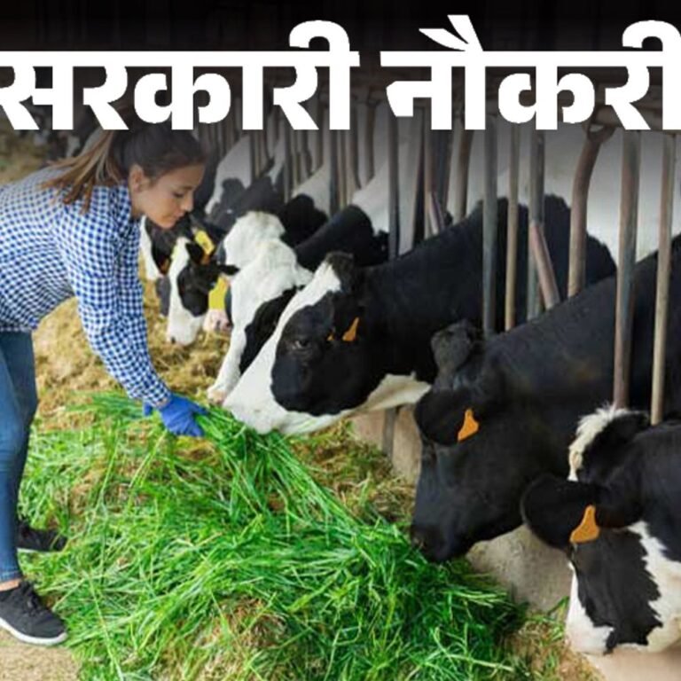 सरकारी नौकरी:भारतीय पशुपालन निगम में 2246 पदों पर भर्ती ; लास्ट डेट 25 नवंबर, 10वीं पास से लेकर ग्रेजुएट्स करें अप्लाई