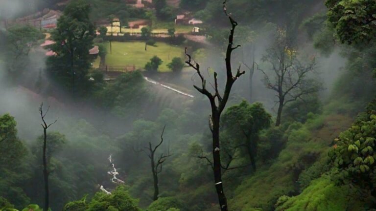 MP के 500 गांवों के लिए बड़ी खबर, वन्यप्राणी बहुल वनक्षेत्र से किए जाएंगे बाहर