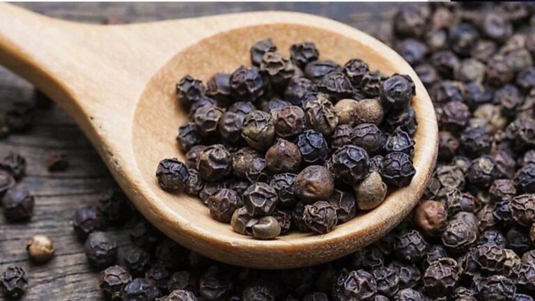 शुगर लेवल मेंटेन करने से लेकर कैंसर तक से बचाती है कालीमिर्च, खाने में बस एक चुटकी करेगी कमाल