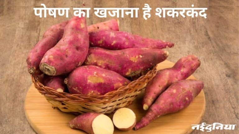 रोस्ट करें, उबालें या बना लें सब्जी… शकरकंद से शरीर को मिलेंगे इतने सारे गजब के फायदे