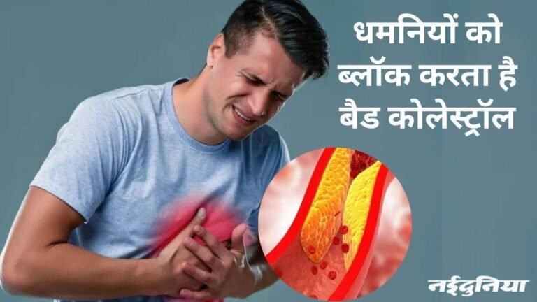 कम करना है बैड कोलेस्ट्रॉल, डाइट प्लान में इन फूड्स को जरूर कर लें शामिल