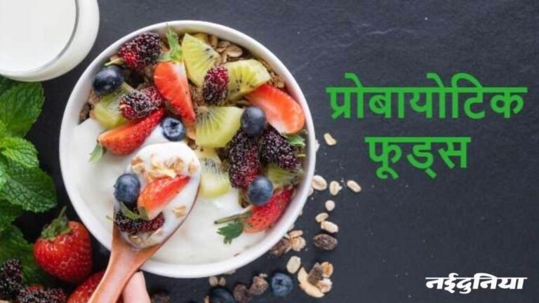 दही से अधिक प्रोबायोटिक्स से भरपूर हैं ये फूड प्रोडक्ट्स, आंतों की हेल्थ बनाते हैं बेहतर