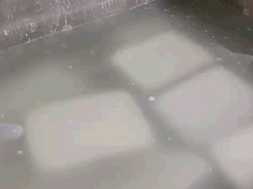 नए साल से पहले रायपुर में 2500KG नकली पनीर मिला:बिना दूध के केमिकल से बन रहा था, होटलों में होनी थी सप्लाई; फैक्ट्री सील