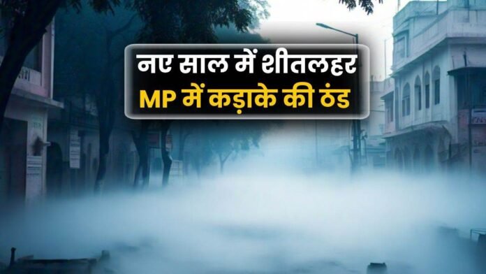 Cold Wave: सर्द हवाओं से MP में बढ़ी ठंड, अगले 3 दिन शीतलहर की संभावना