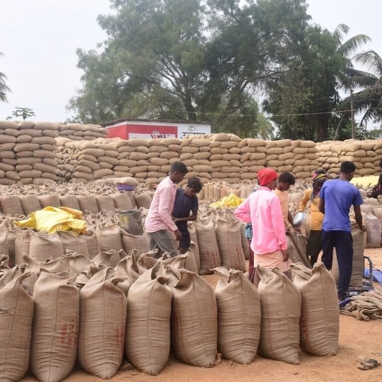 कोंडागांव में 6 हजार 604 किसानों ने बेचा धान:85 करोड़ 63 लाख का भुगतान, खरीदी केन्द्रों में माइक्रो ATM की भी सुविधा