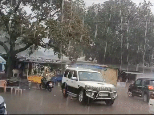 छत्तीसगढ़ में शीतलहर की संभावना…2 दिन में गिरेगा पारा:बलरामपुर में जोरदार बारिश, पेंड्रा में करीब 10 मिमी गिरा पानी, धान खरीदी केंद्रों में अव्यवस्था