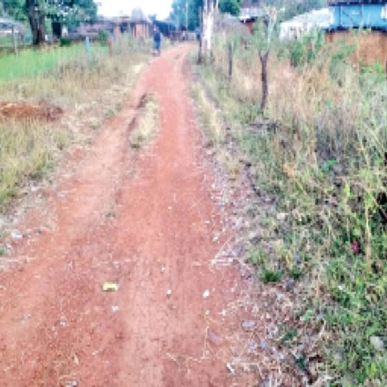 देश में 4444 किमी सड़कें मंजूर:आधी से ज्यादा छत्तीसगढ़ में बनेंगी , 777 बस्तियों में पहली बार रोड बनेगी