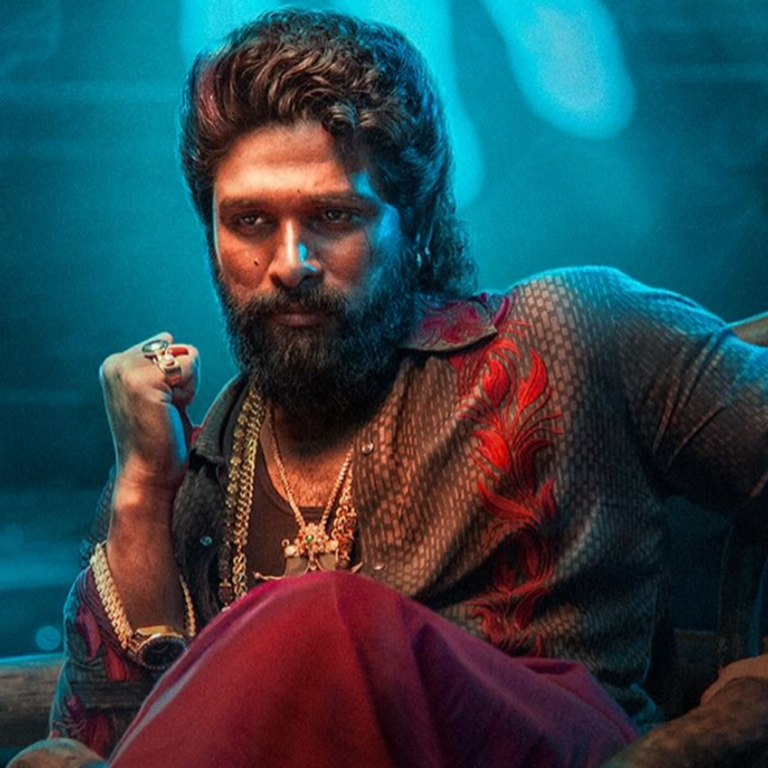 ‘पुष्पा 2’ ने हिंदी वर्जन में रविवार को बनाया रिकॉर्ड:एक ही दिन में कमाए 86 करोड़; दुनियाभर में 800 करोड़ का आंकड़ा भी पार