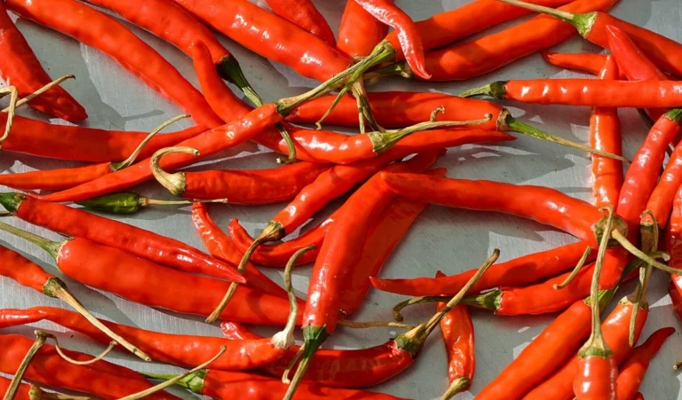 Red Chili Remedies: लाल मिर्च के ये उपाय दूर करेंगे आर्थिक तंगी, घर में बढ़ेगा धन का प्रवाह