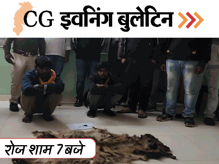 छत्तीसगढ़ इवनिंग बुलेटिन:अननेचुरल सेक्स से नाराज युवक ने किया मर्डर; लखमा बोले-मैं अनपढ़ आदमी; हाथी दांत, तेंदुए-भालू की खाल बरामद; VIDEO में 10 बड़ी खबरें