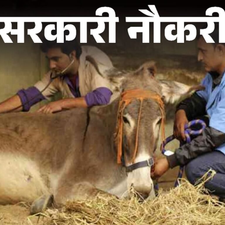 सरकारी नौकरी:राजस्थान में पशुधन सहायक के 2041 पदों पर निकली भर्ती; एज लिमिट 40 साल, 12वीं पास करें अप्लाई