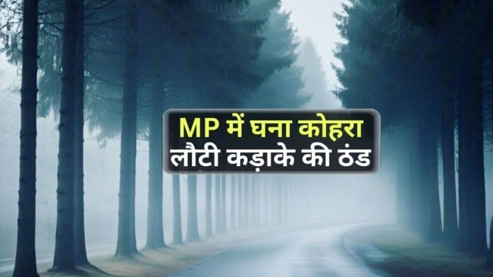 बर्फीली हवाओं ने MP में बढ़ाई ठिठुरन, अगले 48 घंटों में कड़ाके की ठंड