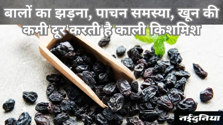 अब रोजाना करें काली किशमिश का सेवन, खून की कमी से लेकर बीपी तक रहेगा कंट्रोल