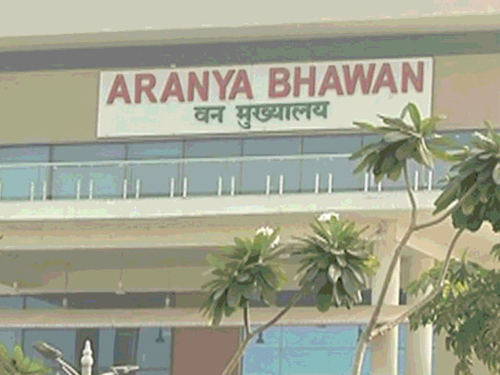 छत्तीसगढ़ में 11 IPS…8 IAS का ट्रांसफर:लिस्ट में IG और 4 DIG भी, नए साल में बदले गए नारायणपुर कलेक्टर, 7 IFS को प्रमोशन