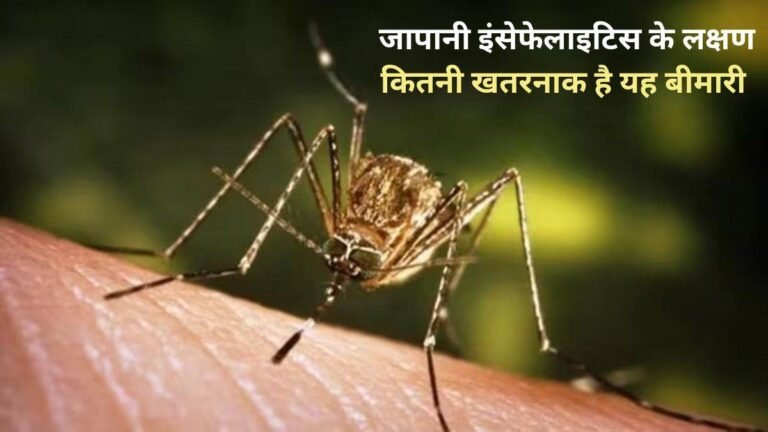 मध्य प्रदेश में जापानी इंसेफेलाइटिस के मरीज मिलने से हड़कंप… जानिए लक्षण और कितनी खतरनाक है यह बीमारी