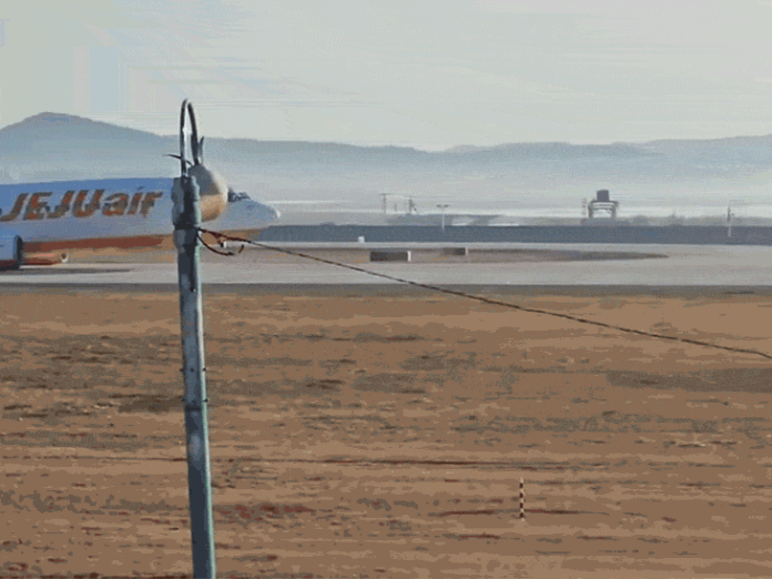 साउथ कोरिया प्लेन क्रैश, 4 दिन बाद भी सुराग नहीं:पायटल ने पक्षी टकराने का अलर्ट भेजा, फिर 6 साल का सबसे बड़ा विमान हादसा