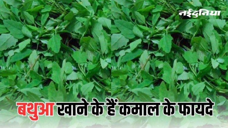 खत्म होने वाली हैं सर्दियां… जरूर खाएं बथुआ और पाएं बेमिसाल फायदे