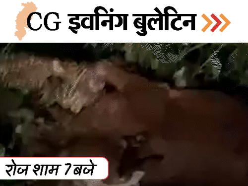 छत्तीसगढ़ इवनिंग बुलेटिन:6वीं की छात्रा से गैंगरेप, कार को बम से उड़ाया, तेंदुए ने गाय को मार डाला, VIDEO में 10 बड़ी खबरें