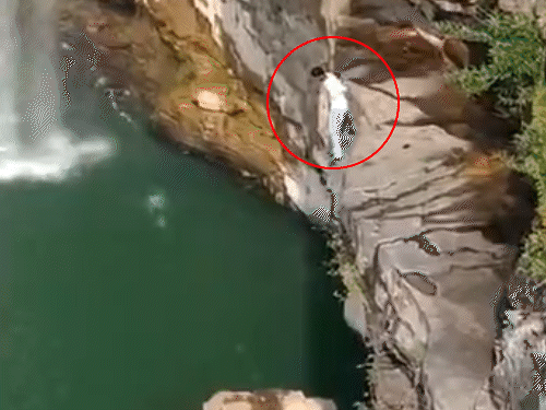 चित्रकोट वाटरफॉल से युवक के लगाई छलांग, LIVE VIDEO:कूदने से मना करते रहे लोग, नाविक ने बचाई जान; दोस्तों संग आया था घूमने