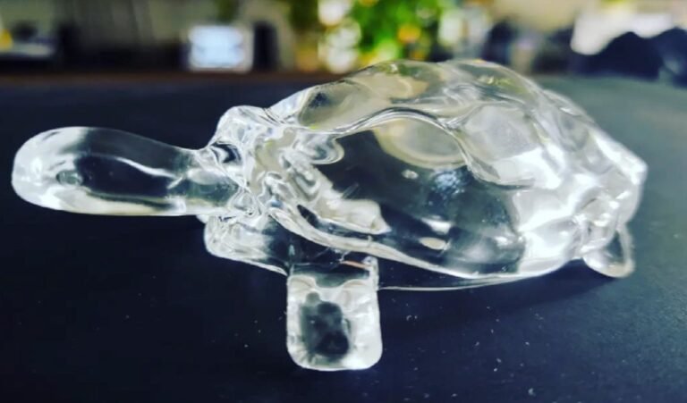 Vastu Tips: क्रिस्टल या लकड़ी कछुआ को घर पर रखने से आती है सुख-शांति, जानिए किस दिशा में रखें