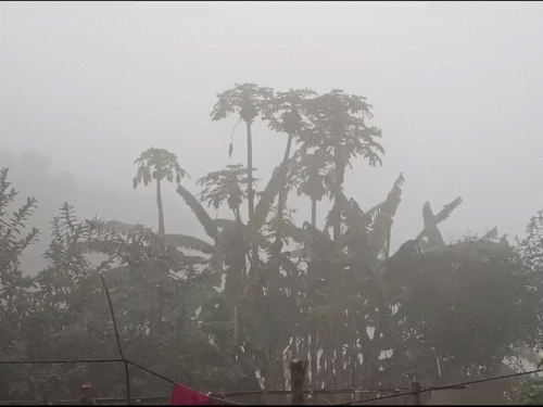 रायपुर समेत कई जिलों में रात में ठंड कम:अगले 2 दिन 2 डिग्री तक लुढ़केगा पारा; फिर 3 डिग्री तक बढ़ेगा न्यूनतम तापमान