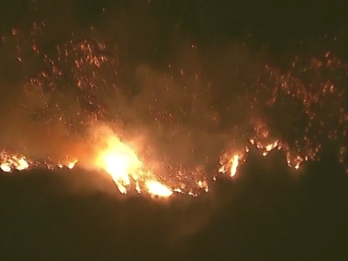 कैलिफोर्निया में आग से 24 की मौत:मृतकों में ऑस्ट्रेलियाई टीवी एक्टर भी शामिल, 7 दिन बाद भी आग पर काबू नहीं