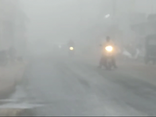 पेंड्रा में कोहरे से विजिबिलिटी हुई कम:दिन में लाइट जलाकर गुजरे वाहन, सरगुजा संभाग के जिले आज भीगेंगे; ठंड से 3 दिन राहत