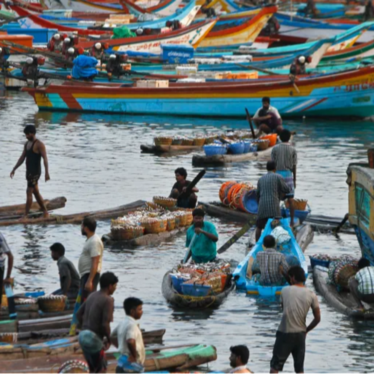 श्रीलंका ने 8 भारतीय मछुआरों को गिरफ्तार किया:2 नौका भी जब्त; बॉर्डर पार कर श्रीलंकाई इलाके में मछली पकड़ने का आरोप
