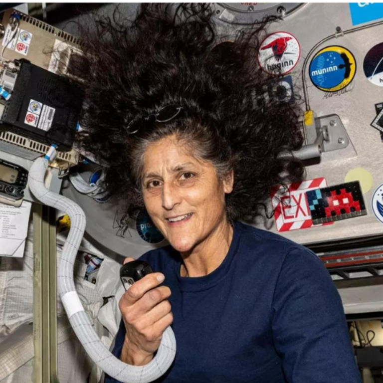 इलॉन मस्क अंतरिक्ष में फंसी सुनीता विलियम्स को वापस लाएंगे:डोनाल्ड ट्रम्प ने दी जिम्मेदारी, कहा- बाइडेन ने उन्हें वहीं पर छोड़ दिया