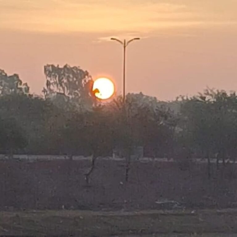 बलरामपुर में करीब 4 डिग्री पहुंचा पारा:रायपुर में रात का तापमान 12°C; 3 दिन कम हो सकती है ठंड, बारिश के भी आसार