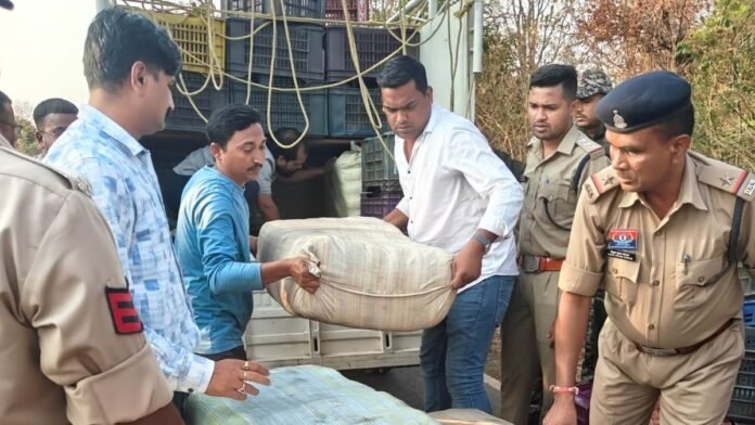 राजनांदगांव में सब्जी कैरेट के नीचे छुपाकर ले जा रहे थे 243 किलो गांजा, दो अंतरराज्यीय तस्करों को दबोचा