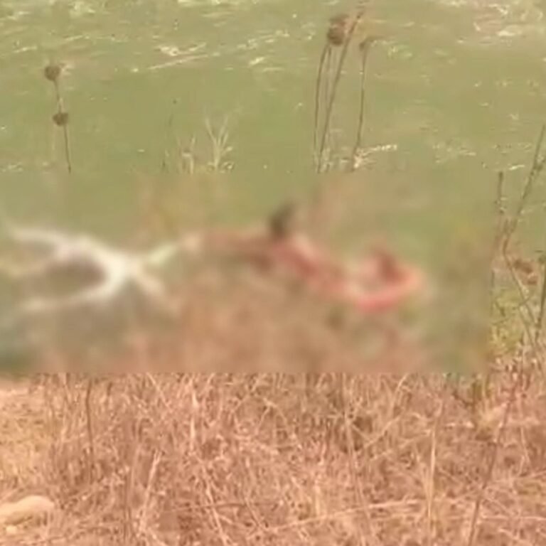 कोरबा में नहर में मिला युवक का शव:दो दिन पुरानी बताई जा रही लाश, नहीं हुई शिनाख्त