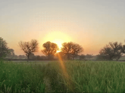 3 दिन आंधी-बारिश और ओले का अलर्ट:रायपुर, बिलासपुर, दुर्ग में गरज-चमक के साथ पड़ेंगी बौछारें; बस्तर में 22 मार्च को बदला रहेगा मौसम