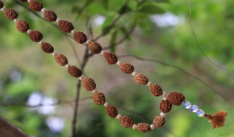 Rudraksha Niyam: भगवान शिव के आंसुओं से हुई थी रुद्राक्ष की उत्पत्ति, जानिए किन लोगों नहीं पहनना चाहिए
