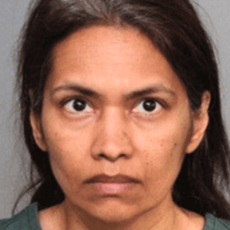 अमेरिका में भारतीय मां ने बेटे का गला रेता:पति को बच्चे की कस्टडी मिलने से नाराज थी; एक दिन पहले चाकू खरीदा