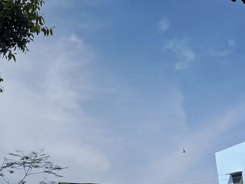 धमतरी, गरियाबंद-कांकेर सहित 9 जिलों में ऑरेंज अलर्ट:कोरबा, जशपुर, सरगुजा में ओले गिरेंगे, अंधड़ चलेगी, रायपुर में बादल छाए, ठंडी हवा चल रही