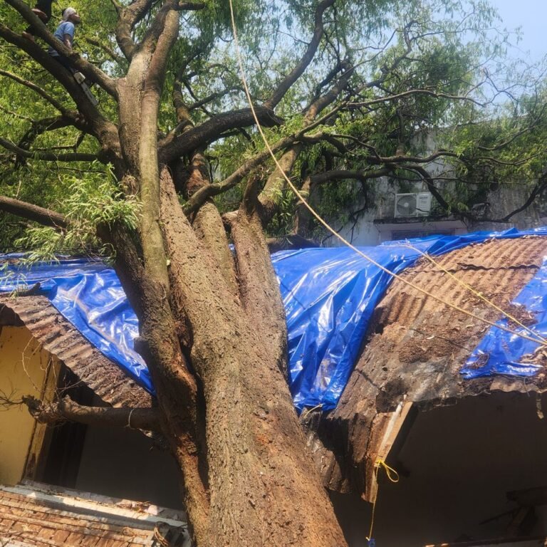 कोंडागांव के नर्सिंग सेंटर का हाल जर्जर दहशत में छात्राएं:115 छात्राएं मांग रही सुरक्षित भवन, एक बुजुर्ग महिला गार्ड और रसोइया के भरोसे चल रहा सेंटर