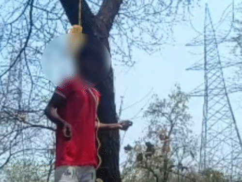 इंस्टा में LIVE आकर फांसी के फंदे पर झूला प्लेयर:कहा-जंगल आकर खोज लेना; दुर्ग से बिलासपुर कबड्डी खेलने निकला था; नहीं मिला शव