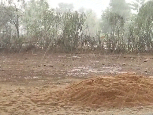 रायपुर-दुर्ग समेत 12 जिलों में आंधी-बारिश का अलर्ट:अगले 5 दिन गरज-चमक के साथ पड़ेगी बौछारें; सरगुजा संभाग में बारिश के साथ गिरे ओले